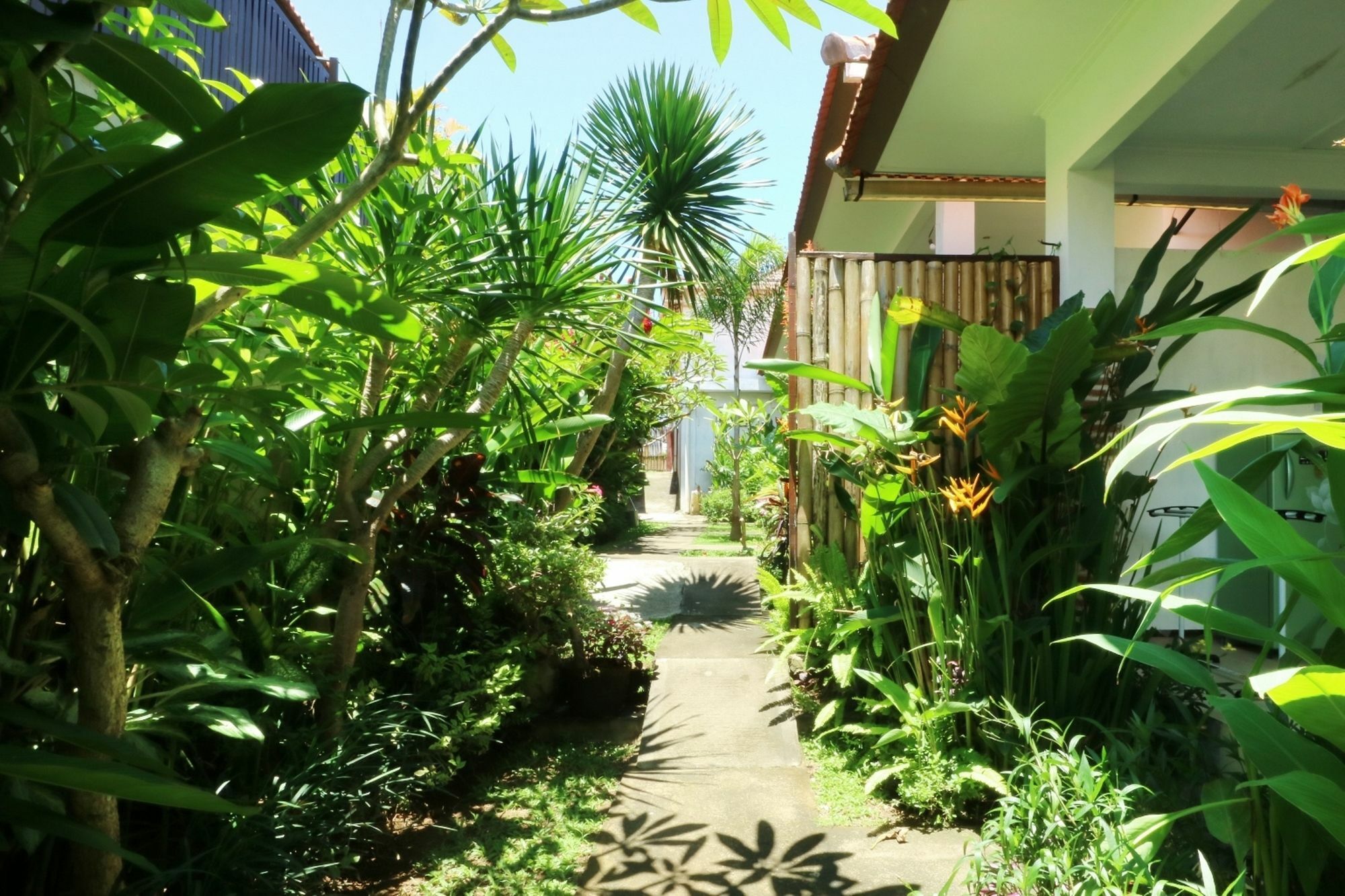 The Wina Guest House 2 Canggu Dış mekan fotoğraf